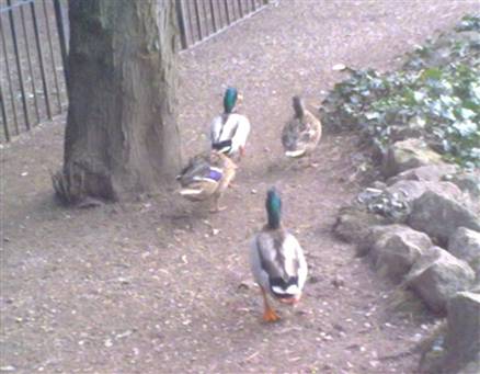 10032009110.jpg