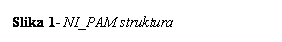 Text Box: Slika 9- NI_PAM struktura