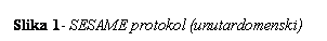 Text Box: Slika 12- SESAME protokol (unutardomenski)