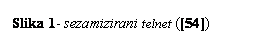 Text Box: Slika 14- sezamizirani telnet ([54])
