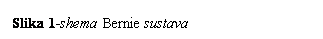 Text Box: Slika 16-shema Bernie sustava